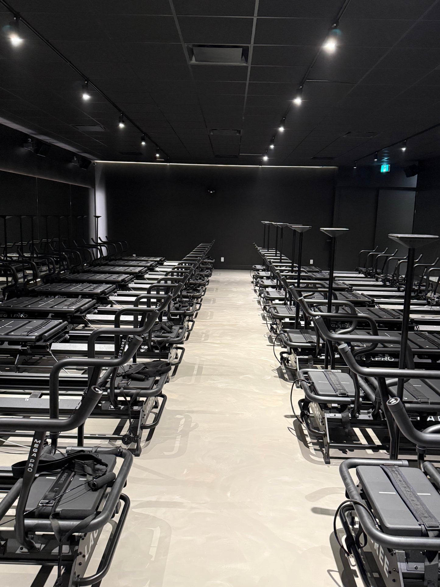 Microcement Floor and Venetian Plaster Ceiling Course