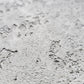 Concrete-look Decorative Venetian Plaster X-Coarse - 5 Star Finishes Ltd